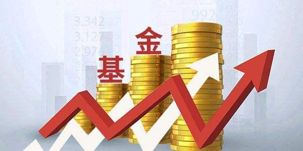 医我看｜构建家门口“健康生态”！珠海市“家医有约 网格服务”发布