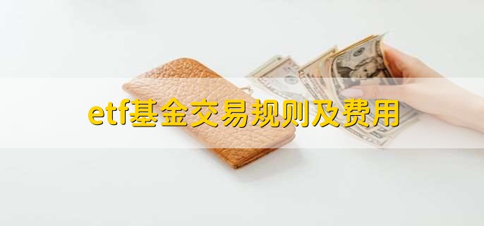桂平市两条城区道路建成通车