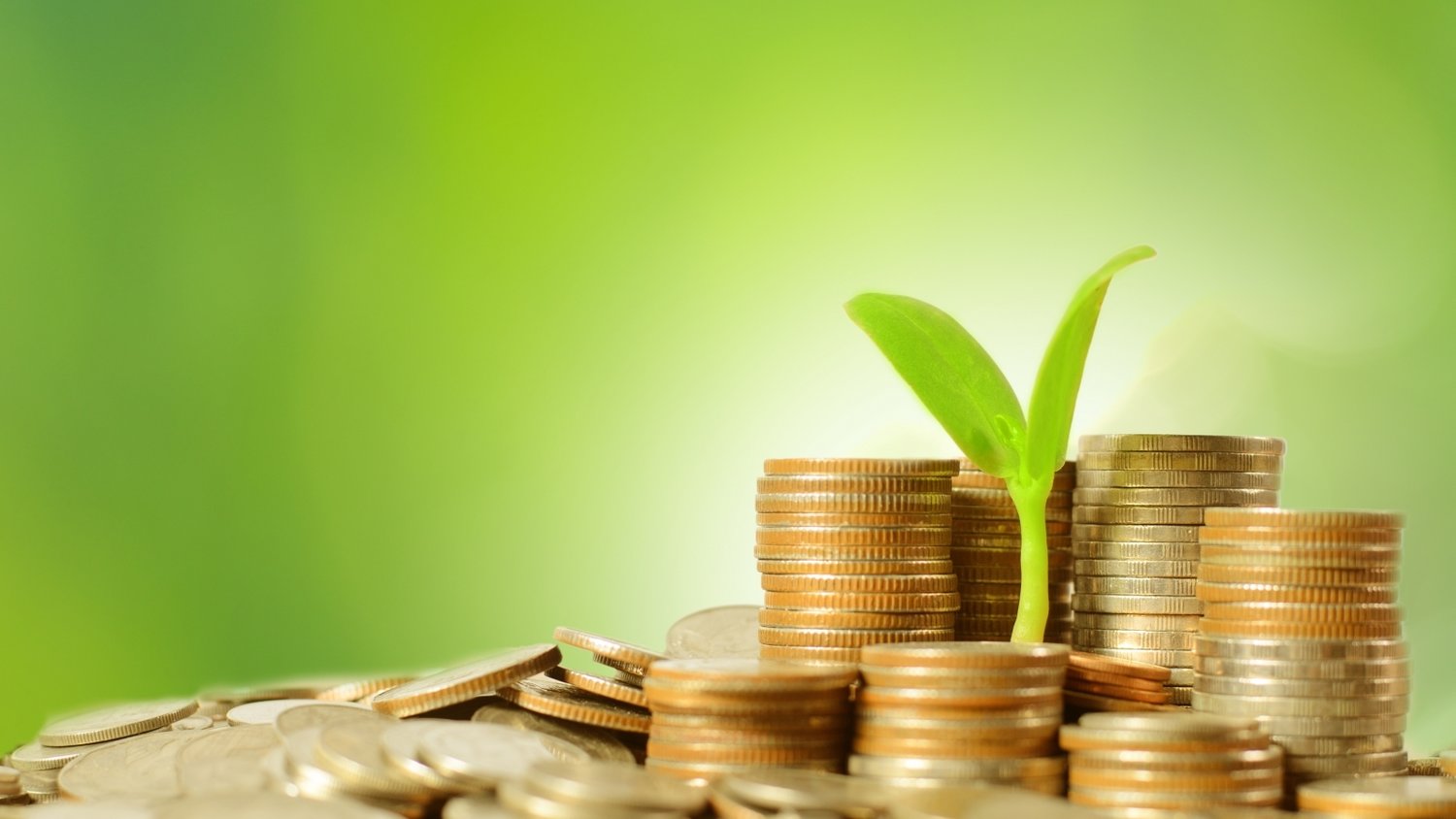 政协第六届贵港市委员会第五次会议主席会议召开